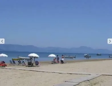 Liza * 卡沃斯